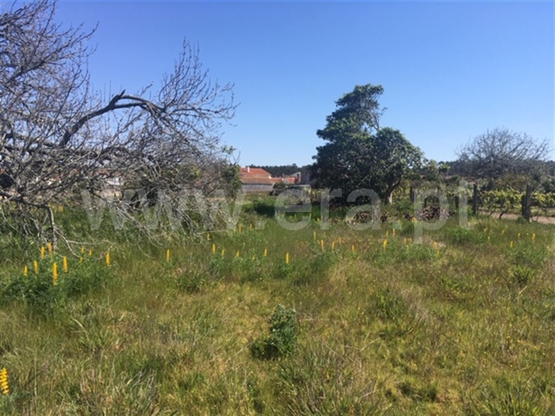 Terreno para Construção  Figueira da Foz, Quiaios - 996403 - 4