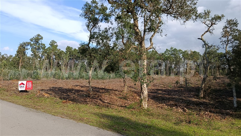 Terreno para Construção / Figueira da Foz, Santana