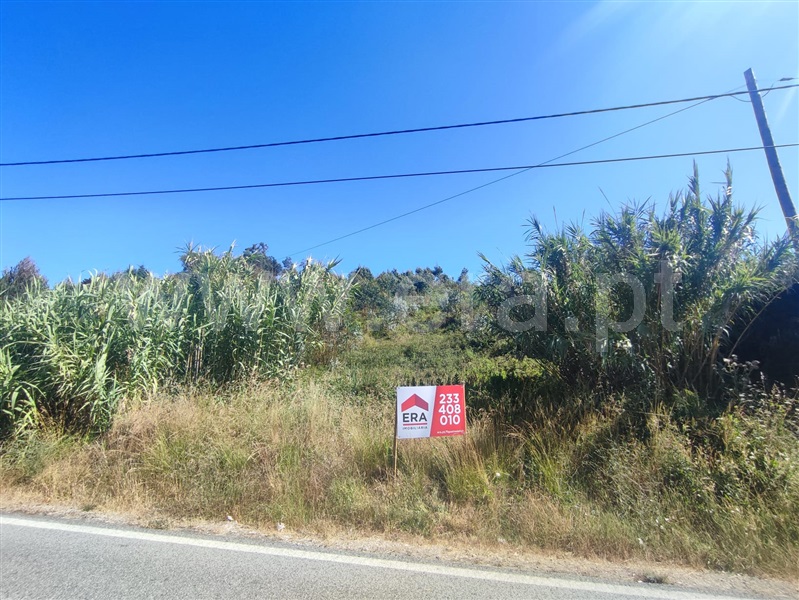 Terreno para Construção / Figueira da Foz, Tavarede
