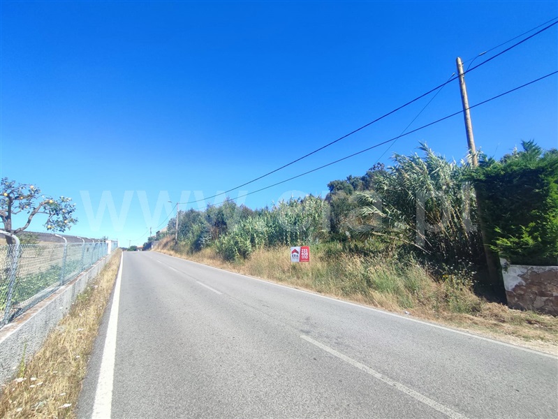 Terreno para Construção / Figueira da Foz, Tavarede