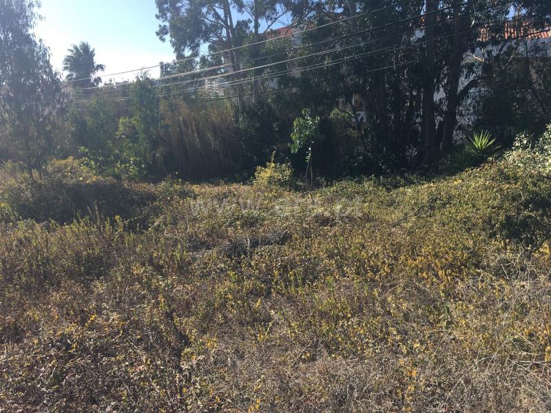 Terreno para Construção / Figueira da Foz, Tavarede