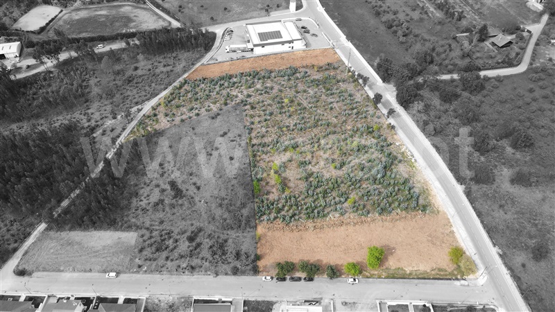 Terreno para Construção / Figueiró dos Vinhos, Figueiró dos Vinhos e Bairradas