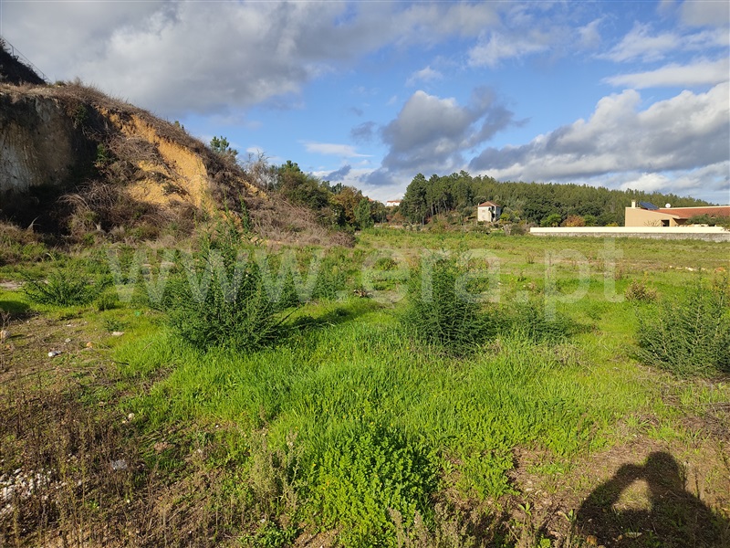 Terreno para Construção  Figueiró dos Vinhos, Figueiró dos Vinhos e Bairradas - 1289638 - 5