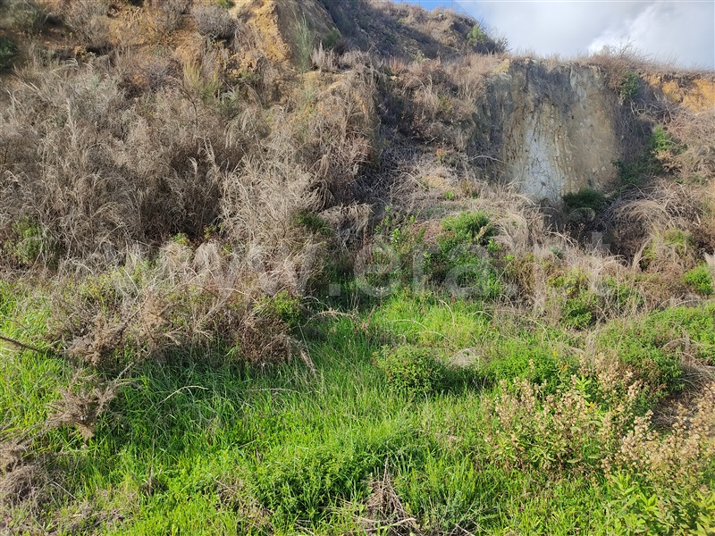 Terreno para Construção  Figueiró dos Vinhos, Figueiró dos Vinhos e Bairradas - 1289638 - 12