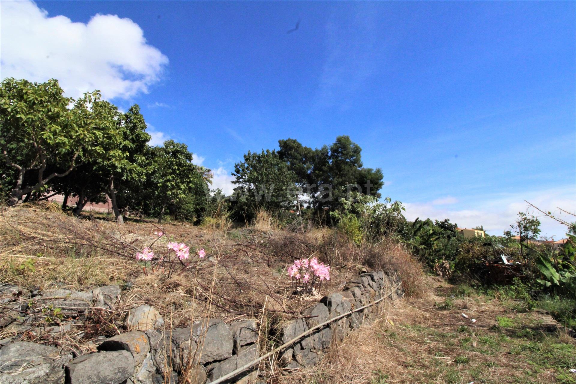 Land for sale in Funchal, Portugal — €155,000
