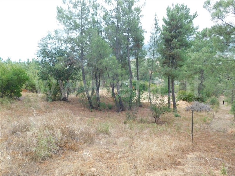 Terreno para Construção  Fundão, Aldeia Nova - 1353364 - 3