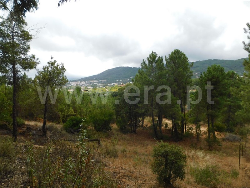 Terreno para Construção  Fundão, Aldeia Nova - 1353364 - 4