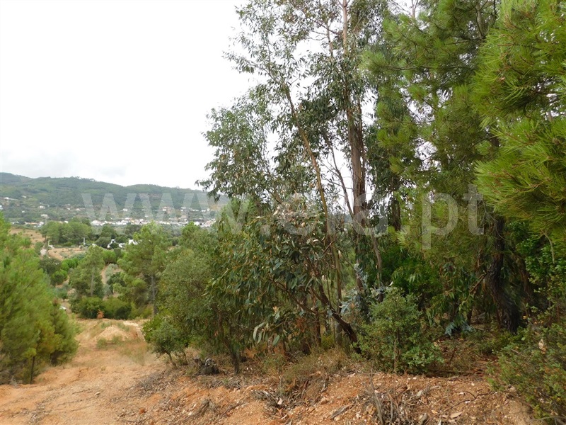 Terreno para Construção  Fundão, Aldeia Nova - 1353364 - 5