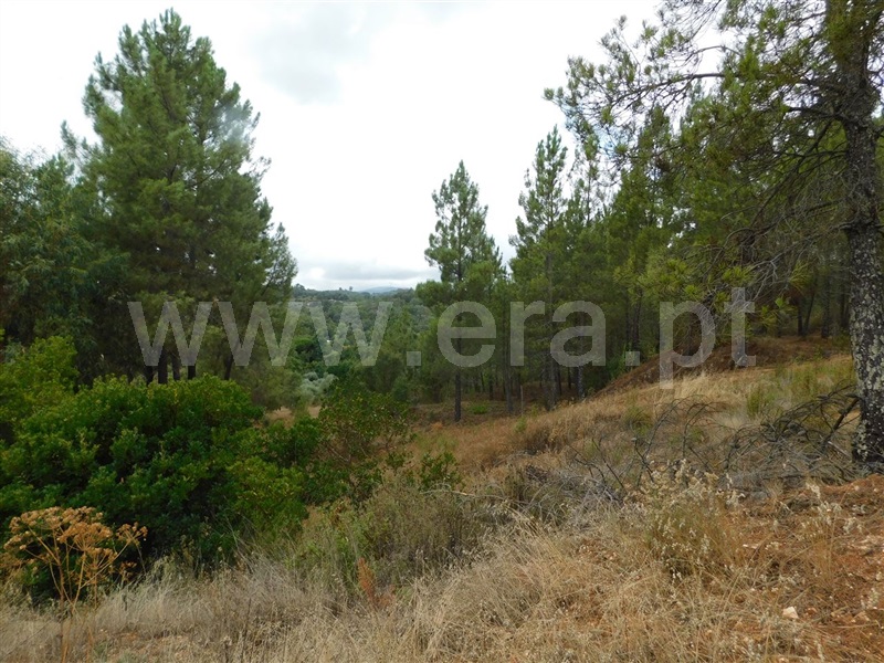Terreno para Construção  Fundão, Aldeia Nova - 1353364 - 6