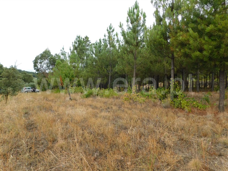 Terreno para Construção  Fundão, Aldeia Nova - 1353364 - 9