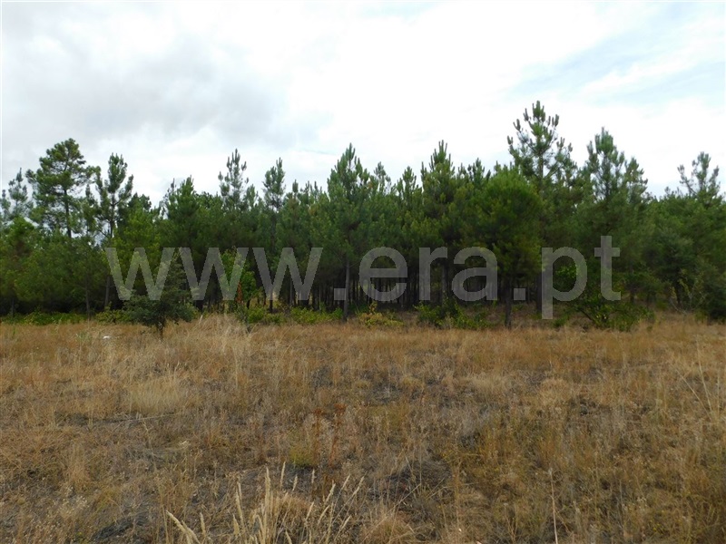 Terreno para Construção  Fundão, Aldeia Nova - 1353364 - 10