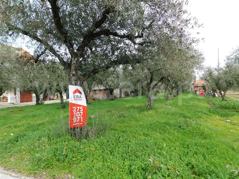 Terreno para Construção  Fundão, Carvalhal - 1066917 - 2