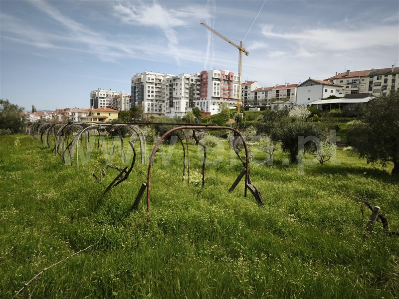Terreno para Construção / Fundão, Fundão, Valverde, Donas, Aldeia de Joanes e Aldeia Nova do Cabo