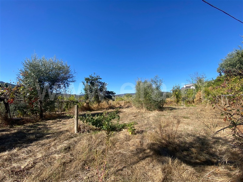 Terreno para Construção / Fundão, Fundão