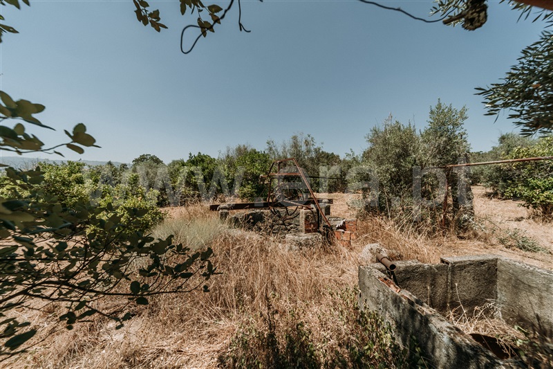 Terreno para Construção  Fundão, Orca - 1490510 - 19