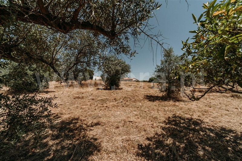 Terreno para Construção  Fundão, Orca - 1490510 - 23