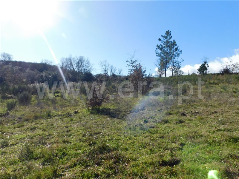 Terreno para Construção  Fundão, Pesinho - 1378311 - 2