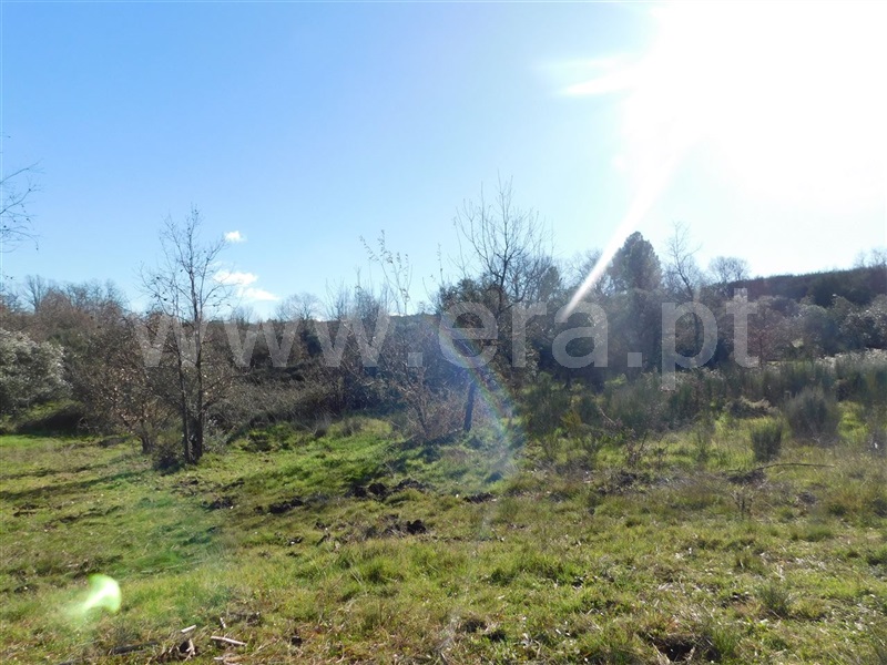 Terreno para Construção  Fundão, Pesinho - 1378311 - 3