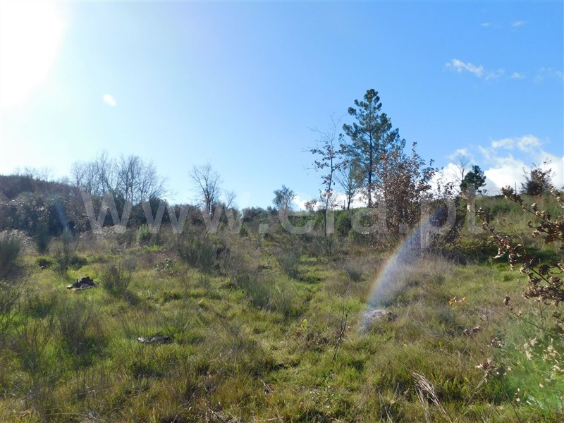 Terreno para Construção  Fundão, Pesinho - 1378311 - 4