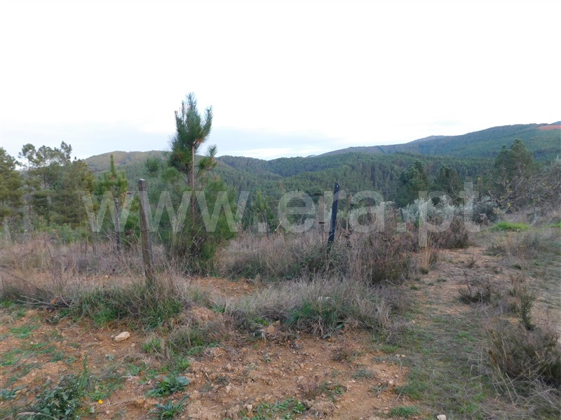 Terreno para Construção  Fundão, Silvares - 1183525 - 2