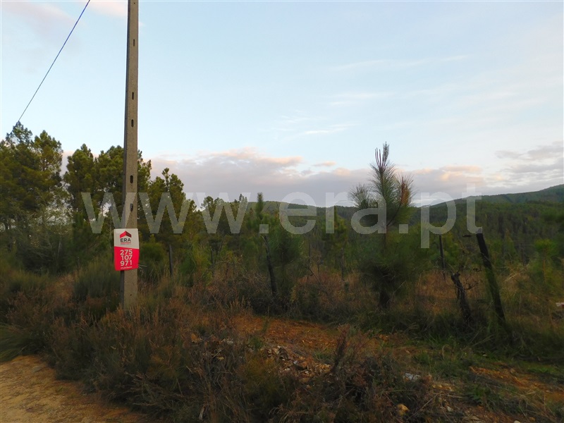 Terreno para Construção / Fundão, Silvares