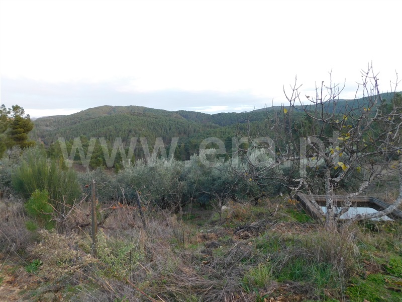 Terreno para Construção  Fundão, Silvares - 1183525 - 4