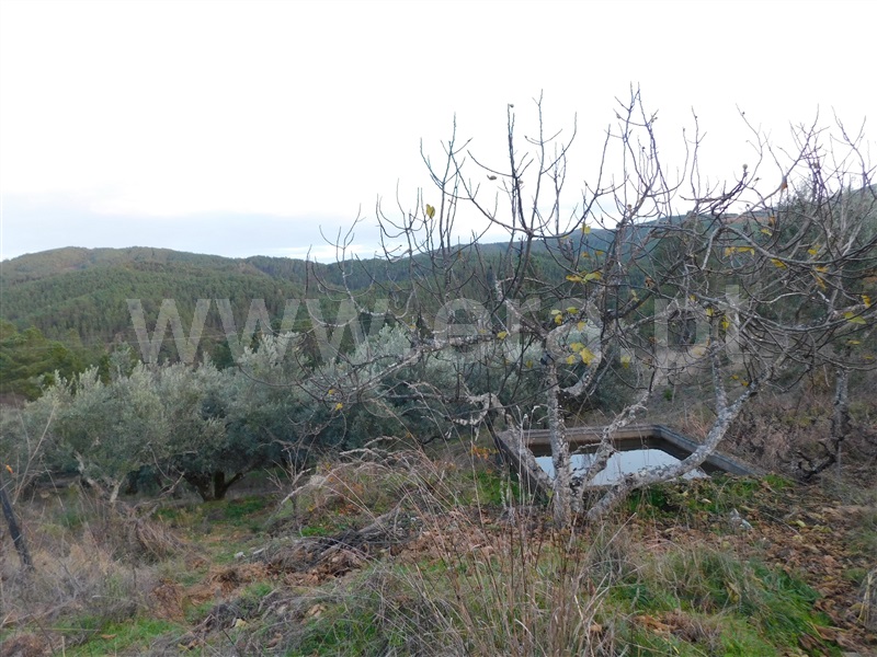 Terreno para Construção  Fundão, Silvares - 1183525 - 5