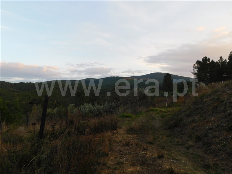 Terreno para Construção  Fundão, Silvares - 1183525 - 6