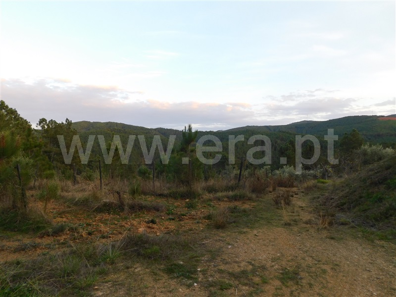 Terreno para Construção  Fundão, Silvares - 1183525 - 7