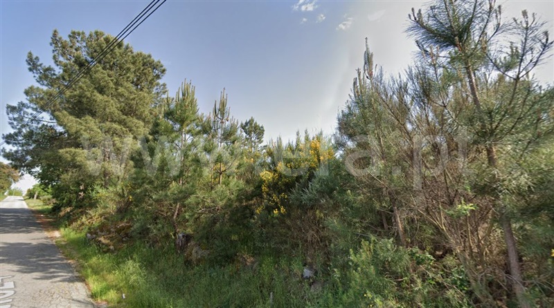 Terreno para Construção  Fundão, Soalheira - 1486047 - 3