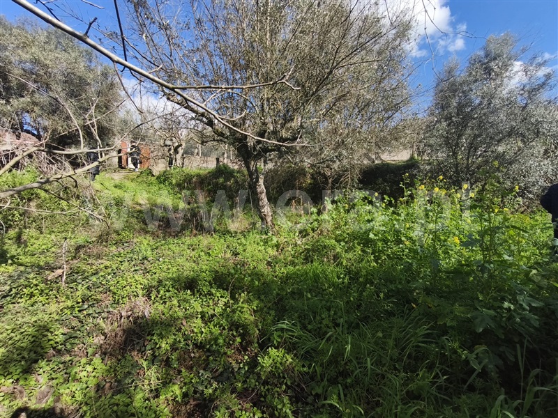 Terreno para Construção  Fundão, Souto da Casa - 1469418 - 6