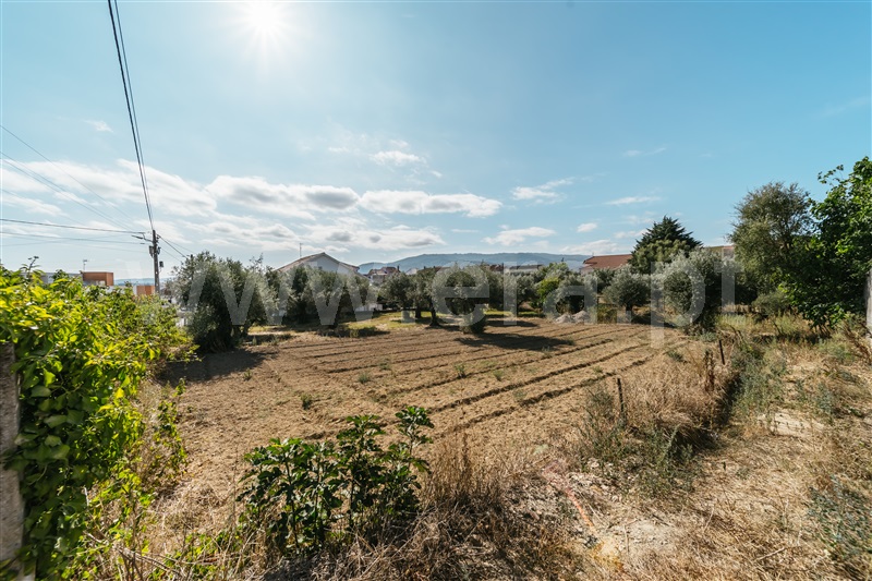 Terreno para Construção  Fundão, Telhado - 1428422 - 4