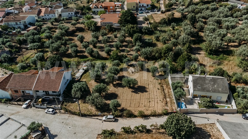 Terreno para Construção  Fundão, Telhado - 1428422 - 5