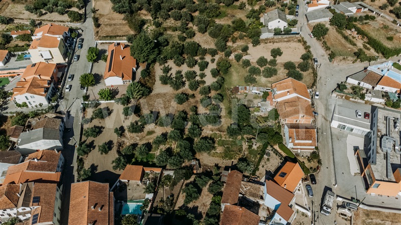 Terreno para Construção  Fundão, Telhado - 1428422 - 13