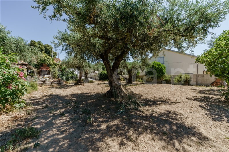 Terreno para Construção / Fundão, Telhado