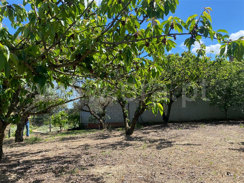 Terreno para Construção / Fundão, Vale Prazeres