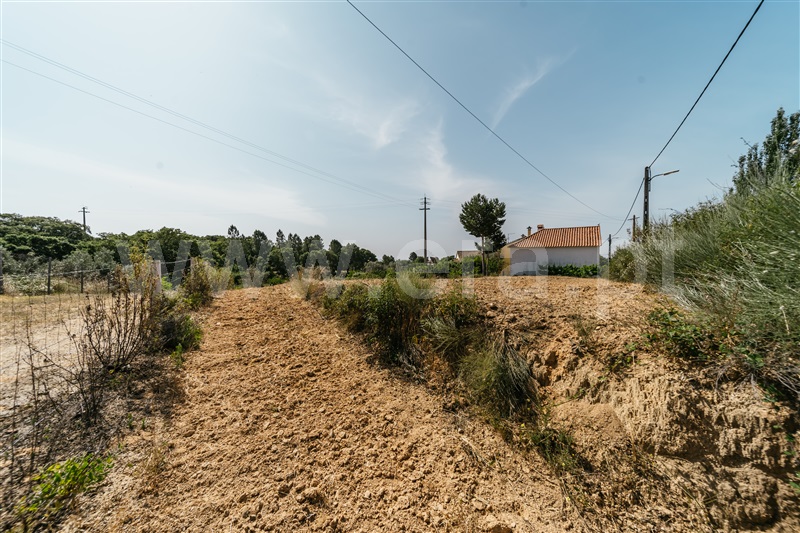 Terreno para Construção  Fundão, Vale Prazeres - 1482832 - 15
