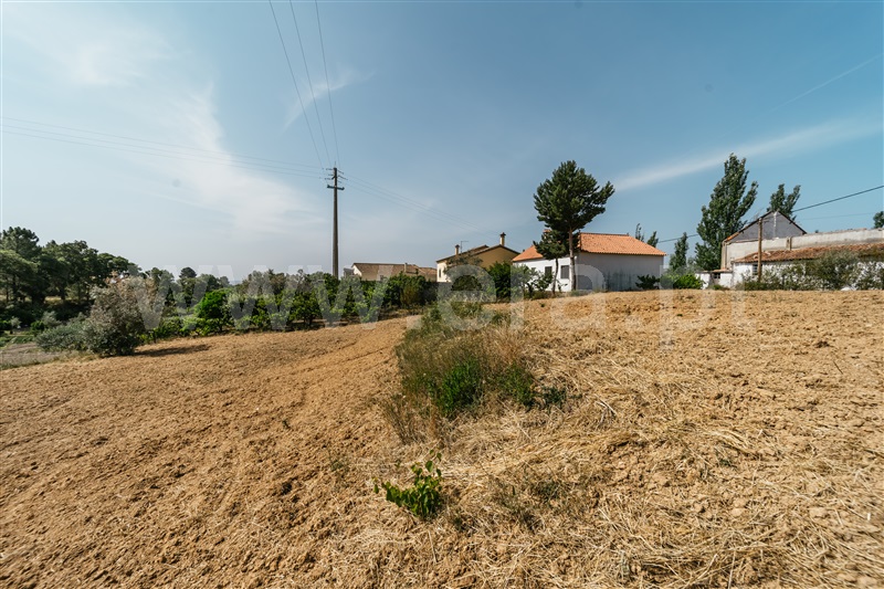 Terreno para Construção  Fundão, Vale Prazeres - 1482832 - 19