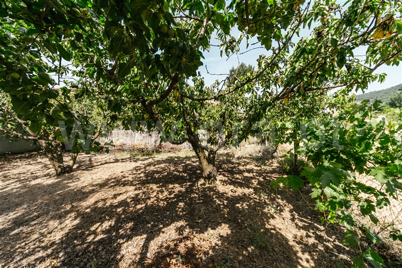 Terreno para Construção  Fundão, Vale Prazeres - 1482832 - 22
