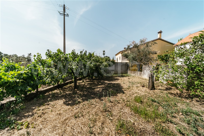 Terreno para Construção  Fundão, Vale Prazeres - 1482832 - 24