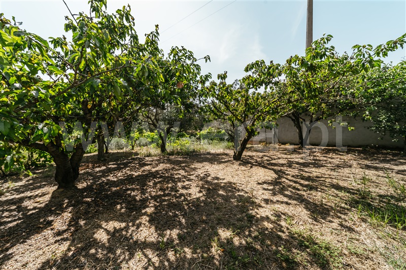 Terreno para Construção  Fundão, Vale Prazeres - 1482832 - 25