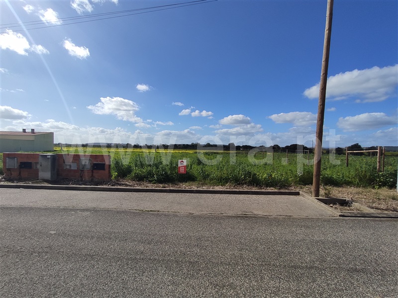 Terreno para Construção  Golegã, Azinhaga - 1381010 - 3