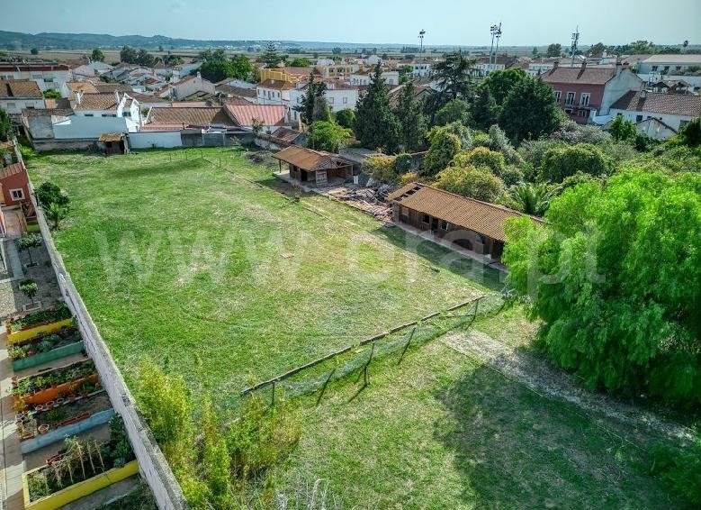 Terreno para Construção  Golegã - 1364836 - 4
