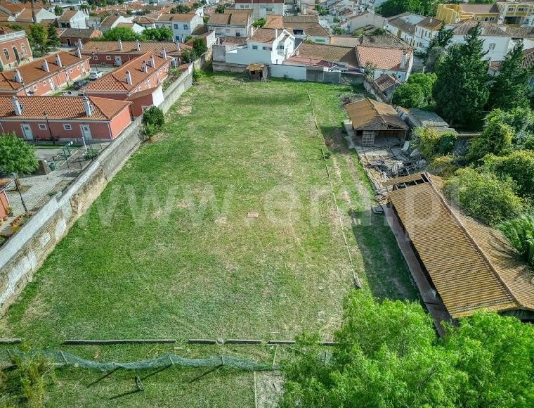 Terreno para Construção  Golegã - 1364836 - 5