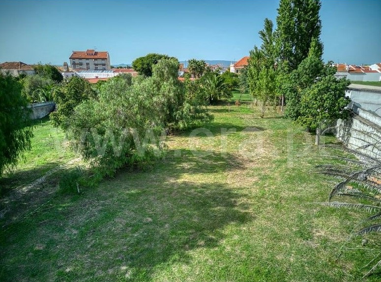 Terreno para Construção  Golegã - 1364836 - 6