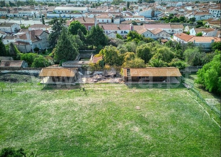 Terreno para Construção  Golegã - 1364836 - 8