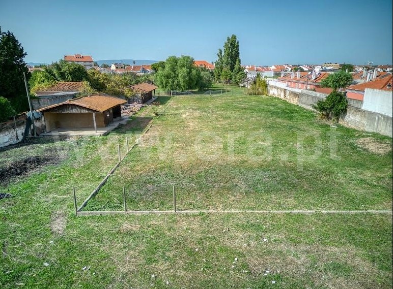 Terreno para Construção  Golegã - 1364836 - 9