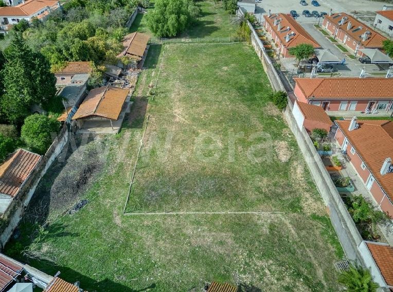 Terreno para Construção  Golegã - 1364836 - 10