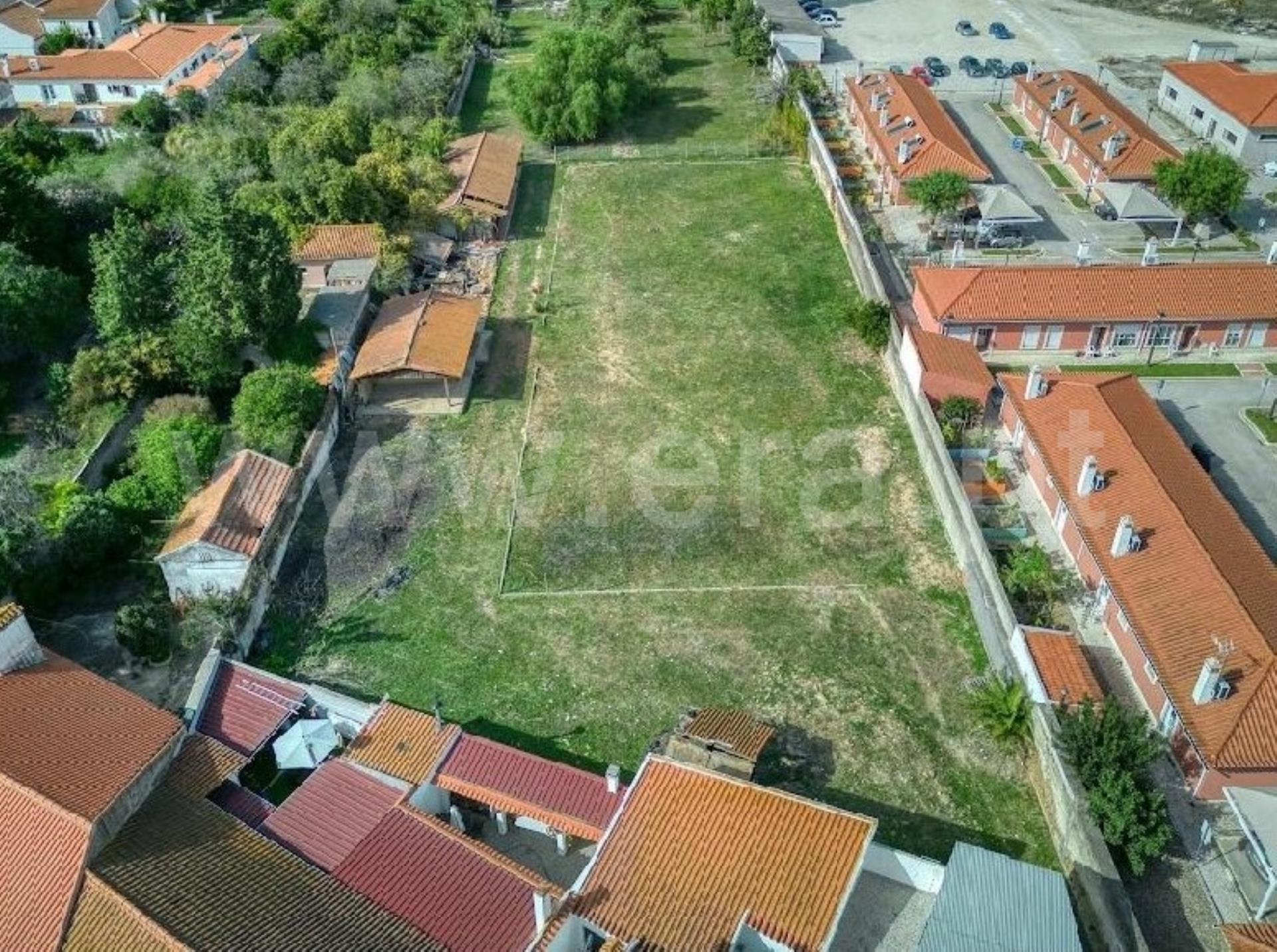 Terreno em Golegã