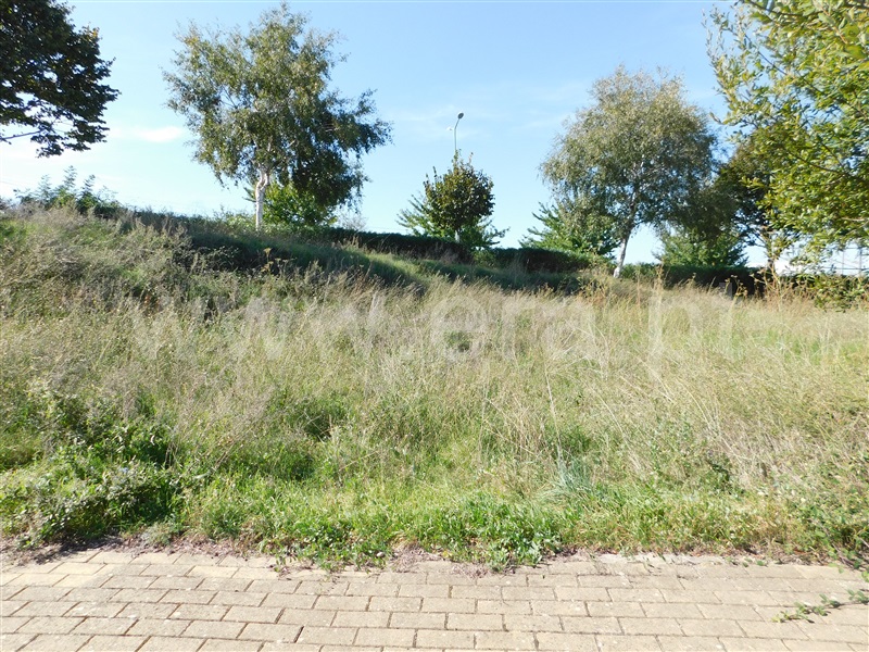 Terreno para Construção  Gouveia - 1360341 - 2